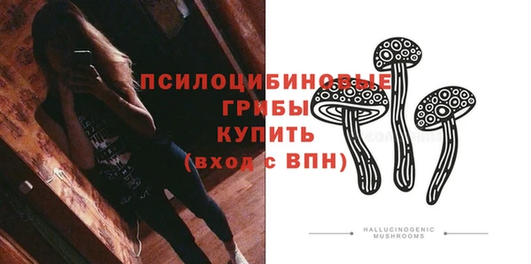 соль курить ск Горно-Алтайск