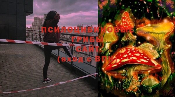 бутират Горняк