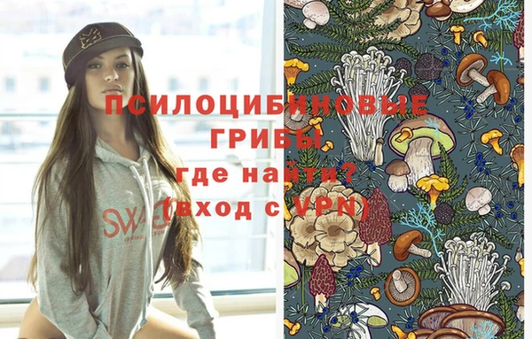 дмт Горнозаводск