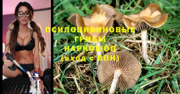 молекула духа Гусиноозёрск