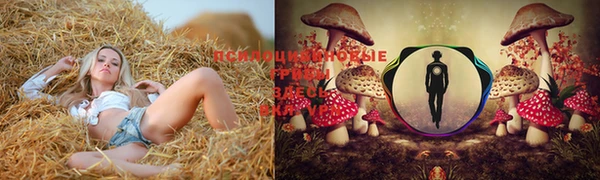 дмт Горнозаводск