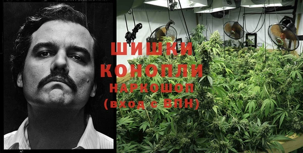 дмт Горнозаводск
