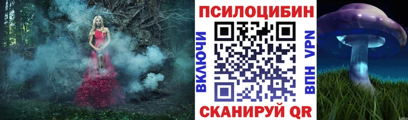 Псилоцибиновые грибы мицелий что такое Меленки